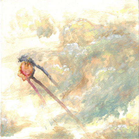 Pando – Negligible Senescence CD