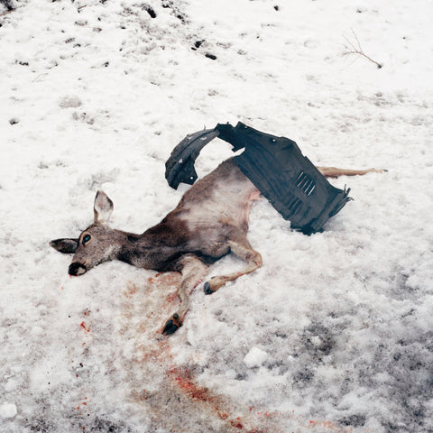White Ward – Debemur Morti CD