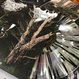 Drowning The Light / Ghosts Of Oceania – Mountain Of Malevolence Split LP (Clear with Black, White & Green Splatter Vinyl)