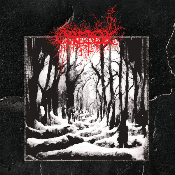 Óreiða – The Eternal LP (Black & White Merge with Grey Splatter Vinyl)