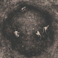 Pure Wrath – Bleak Days Ahead LP (Grey & Black Marble Vinyl)