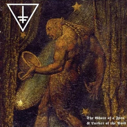Drowning The Light – The Ghost Of A Flea & Lurker Of The Void LP (Gold & Black Splatter Vinyl)