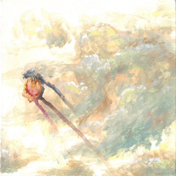 Pando  ‎– Negligible Senescence CD