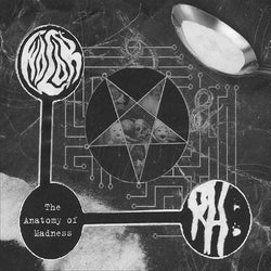 Wolok & Rotting Heaven ‎– The Anatomy of Madness Split CD