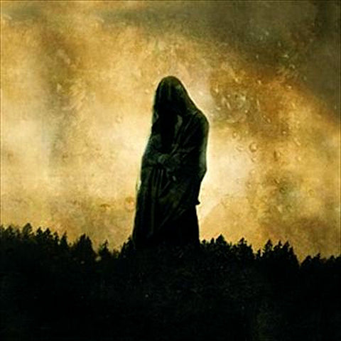 Woods of Desolation - Toward the Depths CD